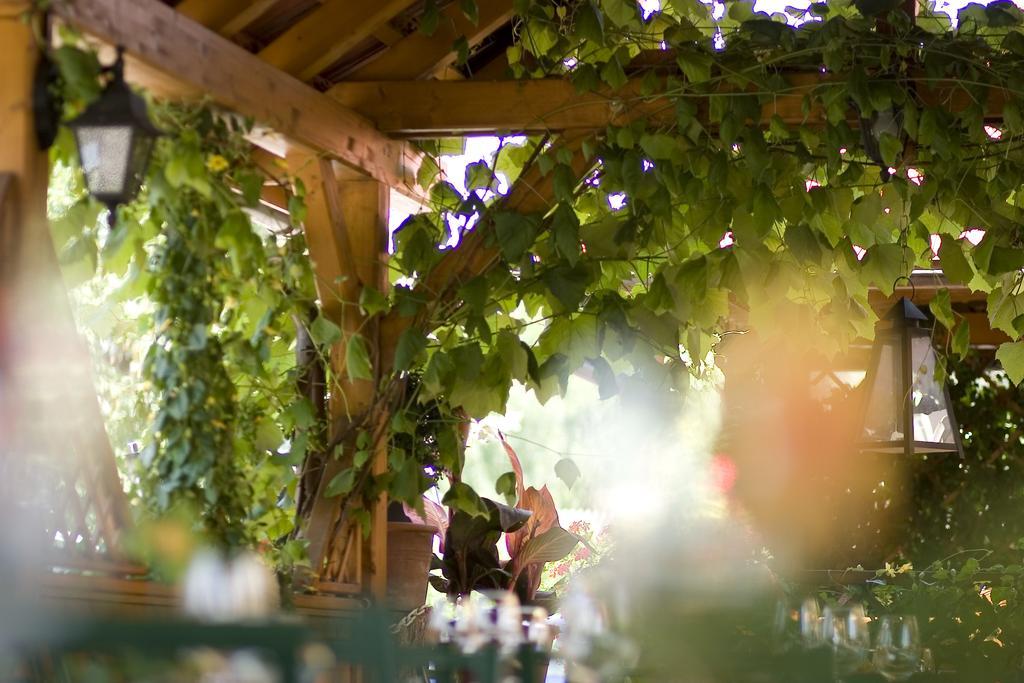Hotel-Restaurant Fischerwirt Gratwein エクステリア 写真